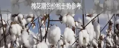 棉花期货上涨的原因有哪些(棉花期货为啥猛涨)_期货交易_第1张_青花期货直播间 棉花期货上涨的原因有哪些(棉花期货为啥猛涨)_https://qh.ynbygsw.com_期货交易_第1张