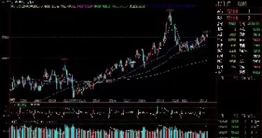 股指期货入市要求(股指期货买入后多久可以卖出)_国际期货_第1张_青花期货直播间 股指期货入市要求(股指期货买入后多久可以卖出)_https://qh.ynbygsw.com_国际期货_第1张