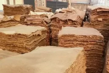 纸浆期货交易的什么(纸浆期货交易时间)_期货喊单_第1张_青花期货直播间 纸浆期货交易的什么(纸浆期货交易时间)_https://qh.ynbygsw.com_期货喊单_第1张