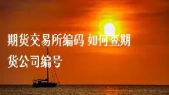 商品期货交易编码有什么用(商品期货交易编码有什么用吗)_国际期货_第1张_青花期货直播间 商品期货交易编码有什么用(商品期货交易编码有什么用吗)_https://qh.ynbygsw.com_国际期货_第1张
