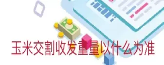 商品玉米期货交割地区(玉米期货交割是什么意思)_期货交易_第1张_青花期货直播间 商品玉米期货交割地区(玉米期货交割是什么意思)_https://qh.ynbygsw.com_期货交易_第1张