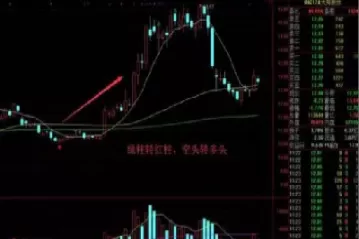 期货双向投资会怎么样(期货双向交易优缺点)_财金知识_第1张_青花期货直播间 期货双向投资会怎么样(期货双向交易优缺点)_https://qh.ynbygsw.com_财金知识_第1张