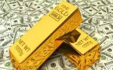 黄金期货和黄金基金区别(买黄金期货好还是基金好)_国际期货_第1张_青花期货直播间 黄金期货和黄金基金区别(买黄金期货好还是基金好)_https://qh.ynbygsw.com_国际期货_第1张