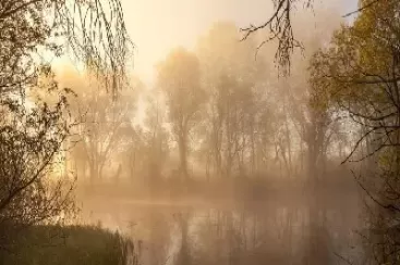 林广袤清华期货(期货林广袤交易策略)_https://qh.ynbygsw.com_期货喊单_第1张