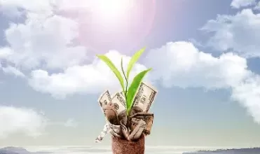 做期货不止损策略(期货设置了止损就一定能止损吗)_国际期货_第1张_青花期货直播间 做期货不止损策略(期货设置了止损就一定能止损吗)_https://qh.ynbygsw.com_国际期货_第1张