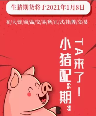 生猪期货看不懂怎么办(期货生猪后期怎么看)_期货交易_第1张_青花期货直播间 生猪期货看不懂怎么办(期货生猪后期怎么看)_https://qh.ynbygsw.com_期货交易_第1张