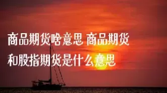 商品期货期权的优缺点是什么意思(商品期货和原油期货的区别)_期货直播_第1张_青花期货直播间 商品期货期权的优缺点是什么意思(商品期货和原油期货的区别)_https://qh.ynbygsw.com_期货直播_第1张
