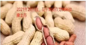 花生期货上市一年涨幅(花生期货上市花生价格是涨还是降)_财金百科_第1张_青花期货直播间 花生期货上市一年涨幅(花生期货上市花生价格是涨还是降)_https://qh.ynbygsw.com_财金百科_第1张