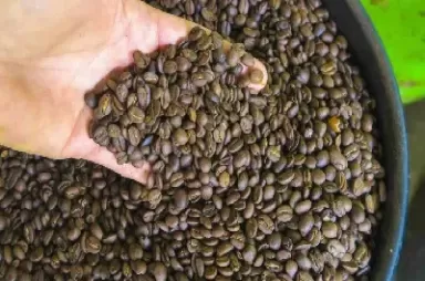 咖啡豆是如何进入期货市场的(咖啡豆有期货吗)_https://qh.ynbygsw.com_财金知识_第1张