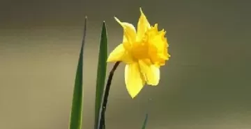 期货赢家是什么(期货赢家是什么意思)_国际期货_第1张_青花期货直播间 期货赢家是什么(期货赢家是什么意思)_https://qh.ynbygsw.com_国际期货_第1张