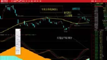 上证50有哪些股票是期货吗(哪个是上证50期货)_https://qh.ynbygsw.com_财金知识_第1张