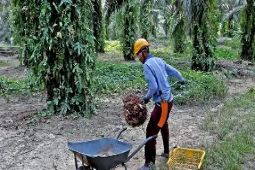 期货棕油1805(棕油期货行情今日实时)_期货直播_第1张_青花期货直播间 期货棕油1805(棕油期货行情今日实时)_https://qh.ynbygsw.com_期货直播_第1张