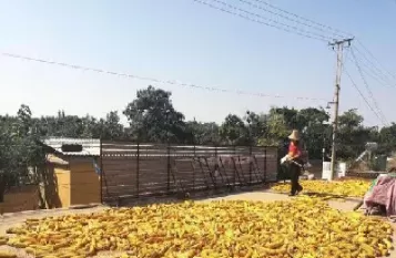 玉米期货为什么下跌(玉米期货为什么波动小)_期货直播_第1张_青花期货直播间 玉米期货为什么下跌(玉米期货为什么波动小)_https://qh.ynbygsw.com_期货直播_第1张