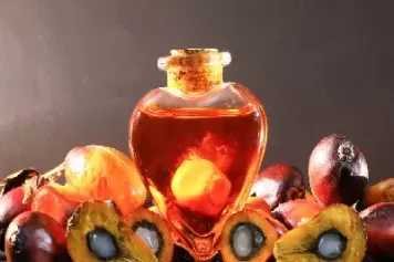 棕榈油期货一手(棕榈油期货一手保证金)_https://qh.ynbygsw.com_期货喊单_第1张