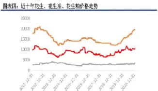 花生期货的主力合约(期货分析看主力合约还是主连)_国际期货_第1张_青花期货直播间 花生期货的主力合约(期货分析看主力合约还是主连)_https://qh.ynbygsw.com_国际期货_第1张