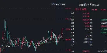 2008做空期货铜(2008年做空港股获利多少倍)_https://qh.ynbygsw.com_国际期货_第1张