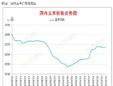 玉米主力期货价格(玉米期货主力合约是哪几个)_期货喊单_第1张_青花期货直播间 玉米主力期货价格(玉米期货主力合约是哪几个)_https://qh.ynbygsw.com_期货喊单_第1张