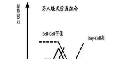 期权损益计算公式(期权损益的计算)_https://qh.ynbygsw.com_期货喊单_第1张