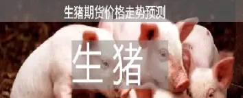 大商所生猪期货交易(大商所生猪期货交易时间)_https://qh.ynbygsw.com_财金百科_第1张