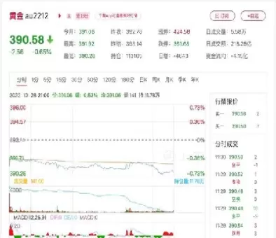 上海今日黄金期货价(上海黄金期货价格走势图)_财金知识_第1张_青花期货直播间 上海今日黄金期货价(上海黄金期货价格走势图)_https://qh.ynbygsw.com_财金知识_第1张