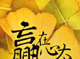 棉花期货什么时候上市的(棉花期货什么价格)_https://qh.ynbygsw.com_财金百科_第1张