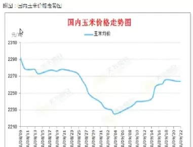 玉米期货和实际价格的关系(期货玉米价格最新行情)_期货喊单_第1张_青花期货直播间 玉米期货和实际价格的关系(期货玉米价格最新行情)_https://qh.ynbygsw.com_期货喊单_第1张