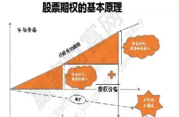 期权激励怎么做(期权激励的费用)_https://qh.ynbygsw.com_财金知识_第1张
