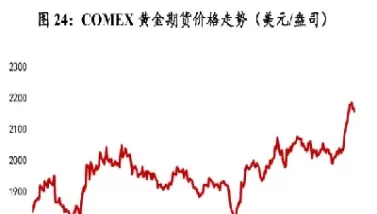 黄金期货走势图哪个好(如何看懂黄金期货的走势图)_国际期货_第1张_青花期货直播间 黄金期货走势图哪个好(如何看懂黄金期货的走势图)_https://qh.ynbygsw.com_国际期货_第1张