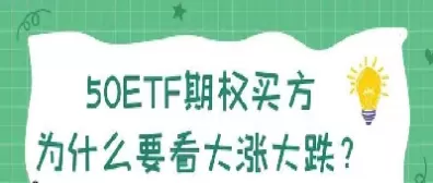 期权交易规则看大涨(期权交易看大涨和大跌的区别)_https://qh.ynbygsw.com_期货交易_第1张