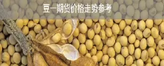 豆粕适合长期投资吗(豆粕还能再涨吗)_期货交易_第1张_青花期货直播间 豆粕适合长期投资吗(豆粕还能再涨吗)_https://qh.ynbygsw.com_期货交易_第1张