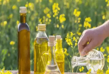 期货菜油好做吗(菜油期货做什么用的)_期货喊单_第1张_青花期货直播间 期货菜油好做吗(菜油期货做什么用的)_https://qh.ynbygsw.com_期货喊单_第1张