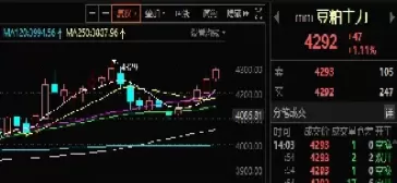 12月份豆粕行情(豆粕2024年行情分析)_期货喊单_第1张_青花期货直播间 12月份豆粕行情(豆粕2024年行情分析)_https://qh.ynbygsw.com_期货喊单_第1张