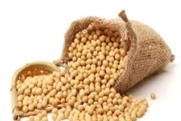 豆粕期货怎样买卖(豆粕期货一手买卖手续费)_期货交易_第1张_青花期货直播间 豆粕期货怎样买卖(豆粕期货一手买卖手续费)_https://qh.ynbygsw.com_期货交易_第1张