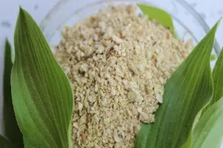 国际豆粕期货最新消息(豆粕期货最新价格)_财金知识_第1张_青花期货直播间 国际豆粕期货最新消息(豆粕期货最新价格)_https://qh.ynbygsw.com_财金知识_第1张