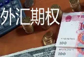 如何购买外汇期权(如何购买外汇期权基金)_https://qh.ynbygsw.com_财金知识_第1张