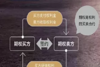 上期所期权品种概念(上期所期货品种)_财金百科_第1张_青花期货直播间 上期所期权品种概念(上期所期货品种)_https://qh.ynbygsw.com_财金百科_第1张