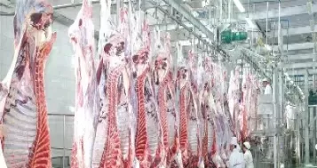 牛肉期货是什么意思(牛肉期货的基础知识)_财金百科_第1张_青花期货直播间 牛肉期货是什么意思(牛肉期货的基础知识)_https://qh.ynbygsw.com_财金百科_第1张