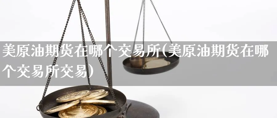 美原油期货在哪个交易所(美原油期货在哪个交易所交易)_https://qh.ynbygsw.com_期货直播_第1张