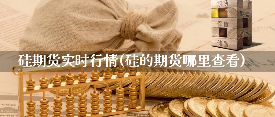 硅期货实时行情(硅的期货哪里查看)_财金知识_第1张_青花期货直播间 硅期货实时行情(硅的期货哪里查看)_https://qh.ynbygsw.com_财金知识_第1张