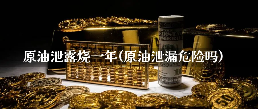原油泄露烧一年(原油泄漏危险吗)_国际期货_第1张_青花期货直播间 原油泄露烧一年(原油泄漏危险吗)_https://qh.ynbygsw.com_国际期货_第1张