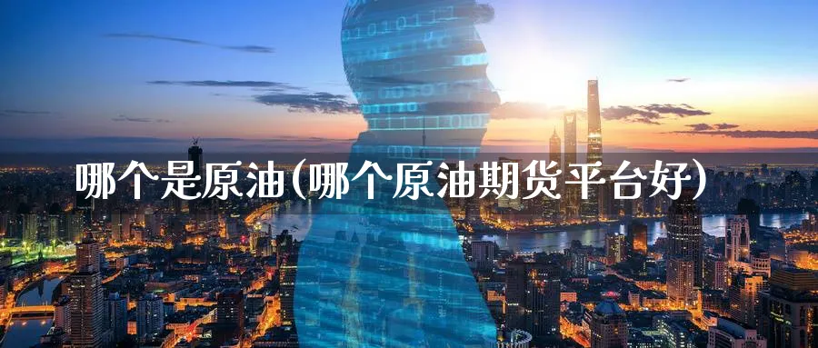 哪个是原油(哪个原油期货平台好)_财金百科_第1张_青花期货直播间 哪个是原油(哪个原油期货平台好)_https://qh.ynbygsw.com_财金百科_第1张