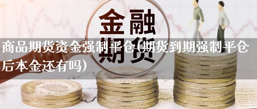 商品期货资金强制平仓(期货到期强制平仓后本金还有吗)_财金知识_第1张_青花期货直播间 商品期货资金强制平仓(期货到期强制平仓后本金还有吗)_https://qh.ynbygsw.com_财金知识_第1张