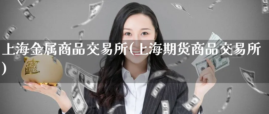 上海金属商品交易所(上海期货商品交易所)_财金知识_第1张_青花期货直播间 上海金属商品交易所(上海期货商品交易所)_https://qh.ynbygsw.com_财金知识_第1张