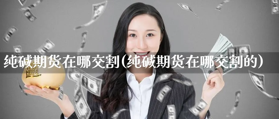 纯碱期货在哪交割(纯碱期货在哪交割的)_财金百科_第1张_青花期货直播间 纯碱期货在哪交割(纯碱期货在哪交割的)_https://qh.ynbygsw.com_财金百科_第1张