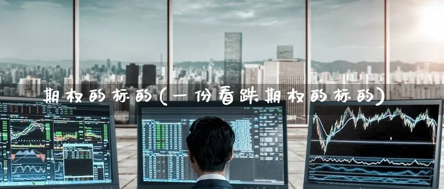 期权的标的(一份看跌期权的标的)_财金知识_第1张_青花期货直播间 期权的标的(一份看跌期权的标的)_https://qh.ynbygsw.com_财金知识_第1张