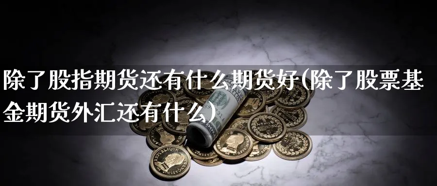 除了股指期货还有什么期货好(除了股票基金期货外汇还有什么)_https://qh.ynbygsw.com_期货直播_第1张