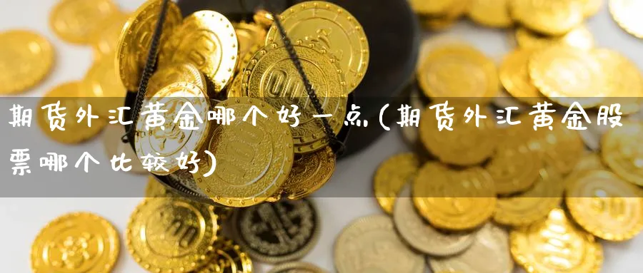 期货外汇黄金哪个好一点(期货外汇黄金股票哪个比较好)_财金百科_第1张_青花期货直播间 期货外汇黄金哪个好一点(期货外汇黄金股票哪个比较好)_https://qh.ynbygsw.com_财金百科_第1张
