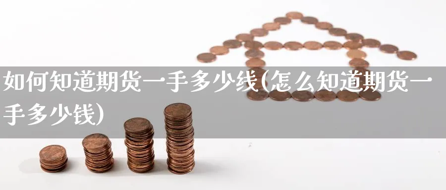 如何知道期货一手多少线(怎么知道期货一手多少钱)_期货直播_第1张_青花期货直播间 如何知道期货一手多少线(怎么知道期货一手多少钱)_https://qh.ynbygsw.com_期货直播_第1张