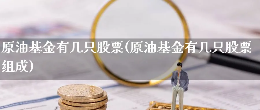 原油基金有几只股票(原油基金有几只股票组成)_国际期货_第1张_青花期货直播间 原油基金有几只股票(原油基金有几只股票组成)_https://qh.ynbygsw.com_国际期货_第1张