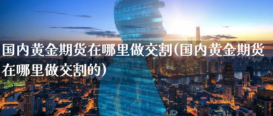 国内黄金期货在哪里做交割(国内黄金期货在哪里做交割的)_https://qh.ynbygsw.com_财金知识_第1张